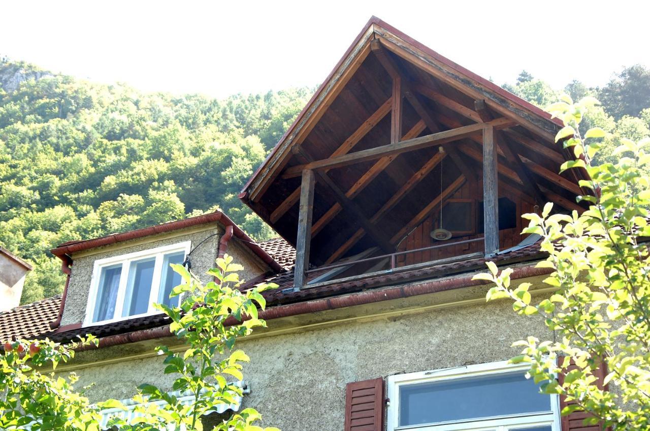 Brasov Valley Lägenhet Exteriör bild